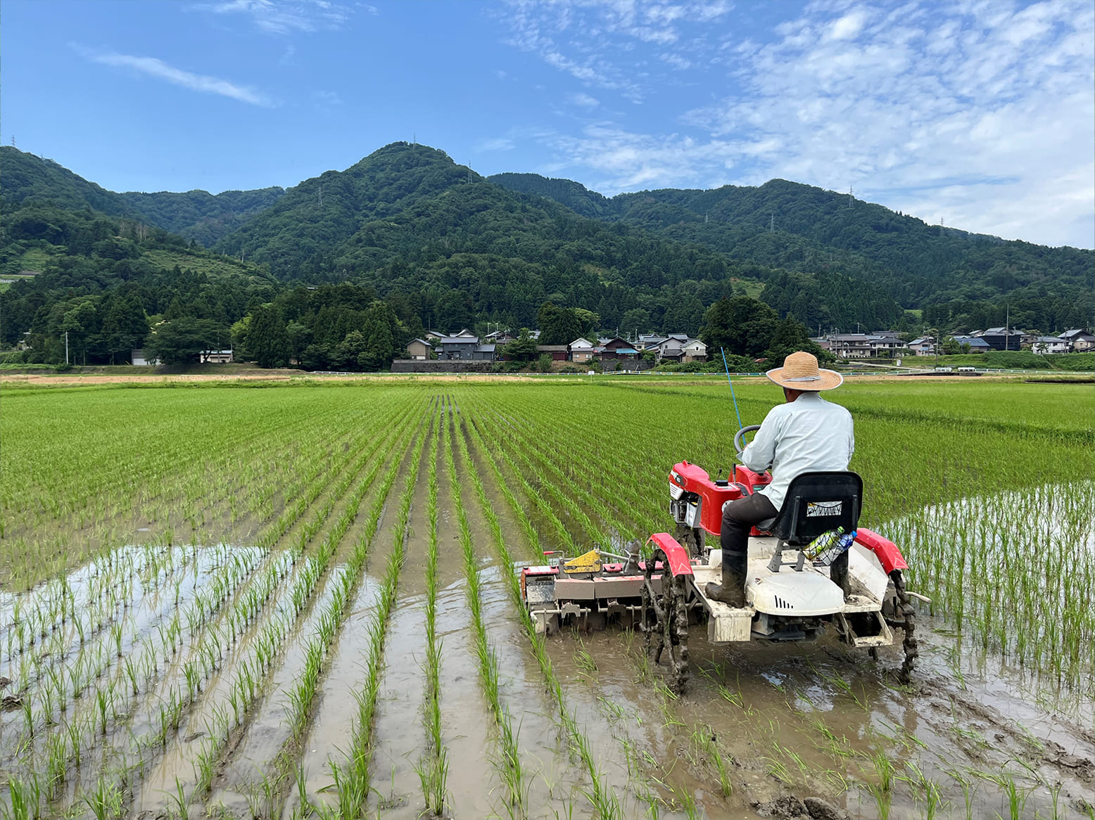 栽培情報